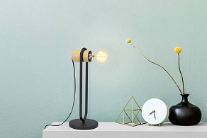 Настольная лампа декоративная Eglo Chieveley 43543