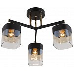 Потолочная люстра Rivoli Isadora Б0054750