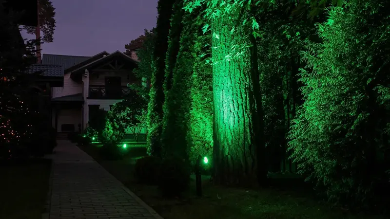 Загородный дом в Пушкино, Московская область – ландшафтное освещение