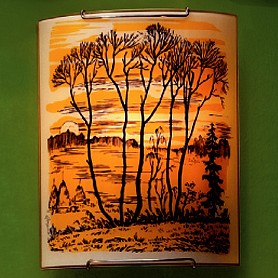 Накладной светильник Citilux 921 CL921017