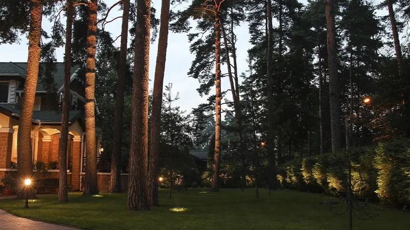 Загородный дом в Видном, Московская область – ландшафтное освещение