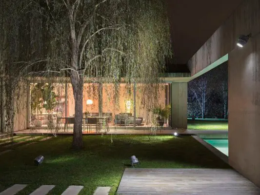 Деревья и кустарники