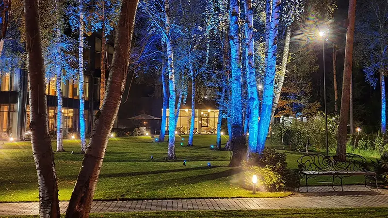 Частный дом в Красновидово, Московская область – ландшафтное освещение