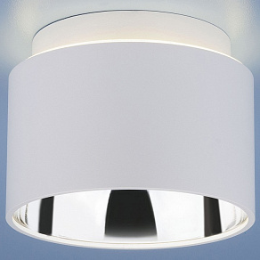 Накладной светильник Elektrostandard Charlie 1069 GX53