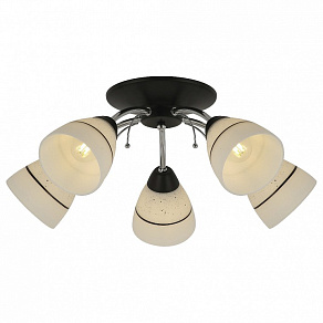 Потолочная люстра TopLight Winnifred TL1255D-05BC