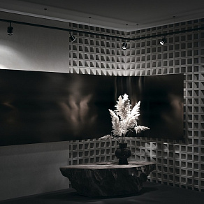 Светильник на штанге Maytoni Orlo TR085-1-5W4K-B