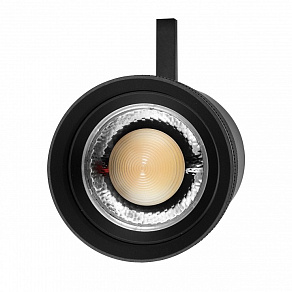 Светильник на штанге Lightstar Canno Pro 304407