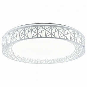 Накладной светильник TopLight Diana TL1204X-72WH