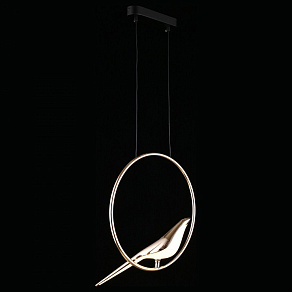 Подвесной светильник Aployt Astor APL.822.06.10