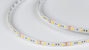 Лента светодиодная DesignLed DSG560 00-00000517
