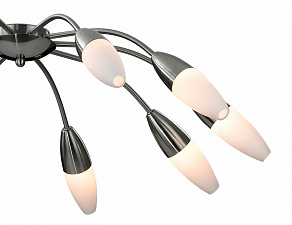 Потолочная люстра Odeon Light Chikko 2012/10C