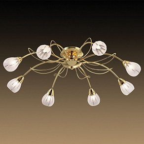 Потолочная люстра Odeon Light Posi 1616/8C
