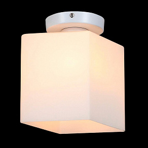 Накладной светильник ST-Luce Aspetto SL548.501.01