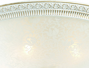 Накладной светильник ST-Luce Fascino SL135.502.04