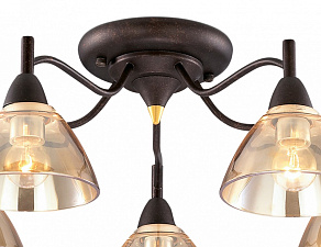 Потолочная люстра Odeon Light Treves 2625/5C