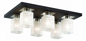 Накладной светильник Odeon Light Campus 2615/6C