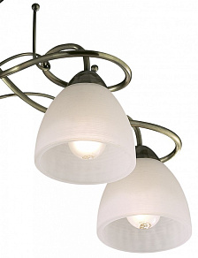 Потолочная люстра Odeon Light Kaena 2120/5C