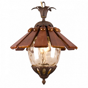 Подвесной светильник Arte Lamp Catena A6991SP-1BR