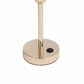 Настольная лампа декоративная ST-Luce BRASS SL1405.204.01