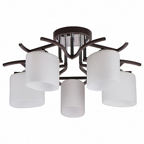 Потолочная люстра Imex 2441 MD.2441-5-S BR+CH