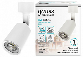 Светильник на штанге Gauss TR090 TR089