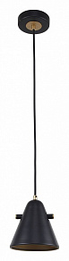 Подвесной светильник F-promo Rigor 2844-1P