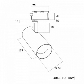 Светильник на штанге Favourite Practica 4865-1U