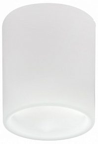 Накладной светильник Lightstar Solido E27 216626