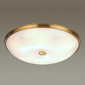 Накладной светильник Odeon Light Pelow 4956/6
