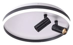 Накладной светильник Zortes Raizy ZRS.1888.01