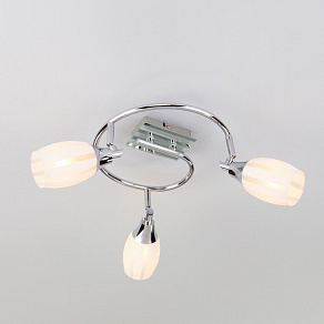 Спот Eurosvet Meridiane 20130/3 хром