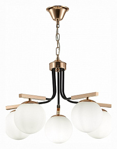 Подвесная люстра EVOLUCE Sonco SLE106803-05