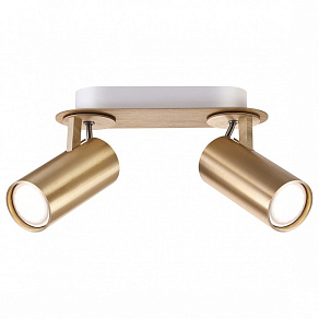 Спот Odeon Light Corse 3876/2C