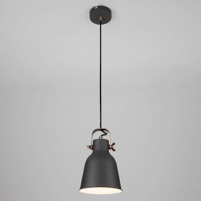 Подвесной светильник Eurosvet Projector 50083/1 черный