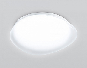 Накладной светильник Ambrella Light ORBITAL FZ1601