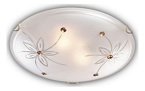 Накладной светильник Sonex Floret 149/K