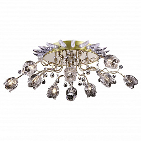 Потолочная люстра Arte Lamp Fanfan A3112PL-10GO