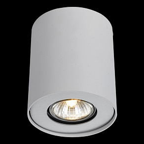 Накладной светильник Arte Lamp Falcon A5633PL-1WH