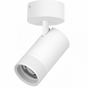 Спот Lightstar Canno Pro C4406SO