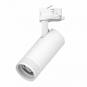 Светильник на штанге Lightstar Canno Pro C4206QT