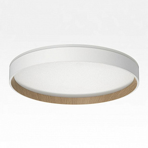 Накладной светильник Citilux ETALON CL750320R