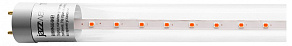 Лампа светодиодная Jazzway  G13 12Вт K PLED T8   900 Agro   12w CL