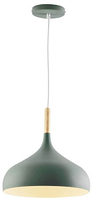 Подвесной светильник Moderli Eline V11445-1P