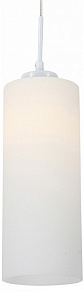 Подвесной светильник ST-Luce Sotti SL754.503.01