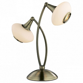 Настольная лампа декоративная Odeon Light Valle 2054/2T