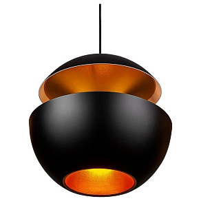 Подвесной светильник L'Arte Luce  L24601.09