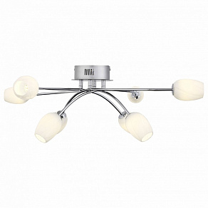 Потолочная люстра ST-Luce Luna SL478.102.08