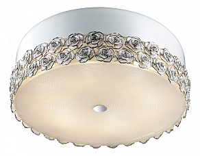 Накладной светильник Odeon Light Rosera 2756/6C