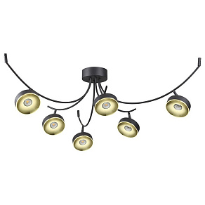 Потолочная люстра Odeon Light Fineca 3812/42CL