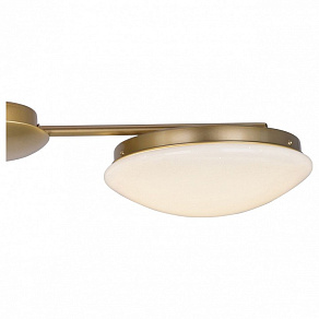 Люстра на штанге F-promo Ledante 2476-3P